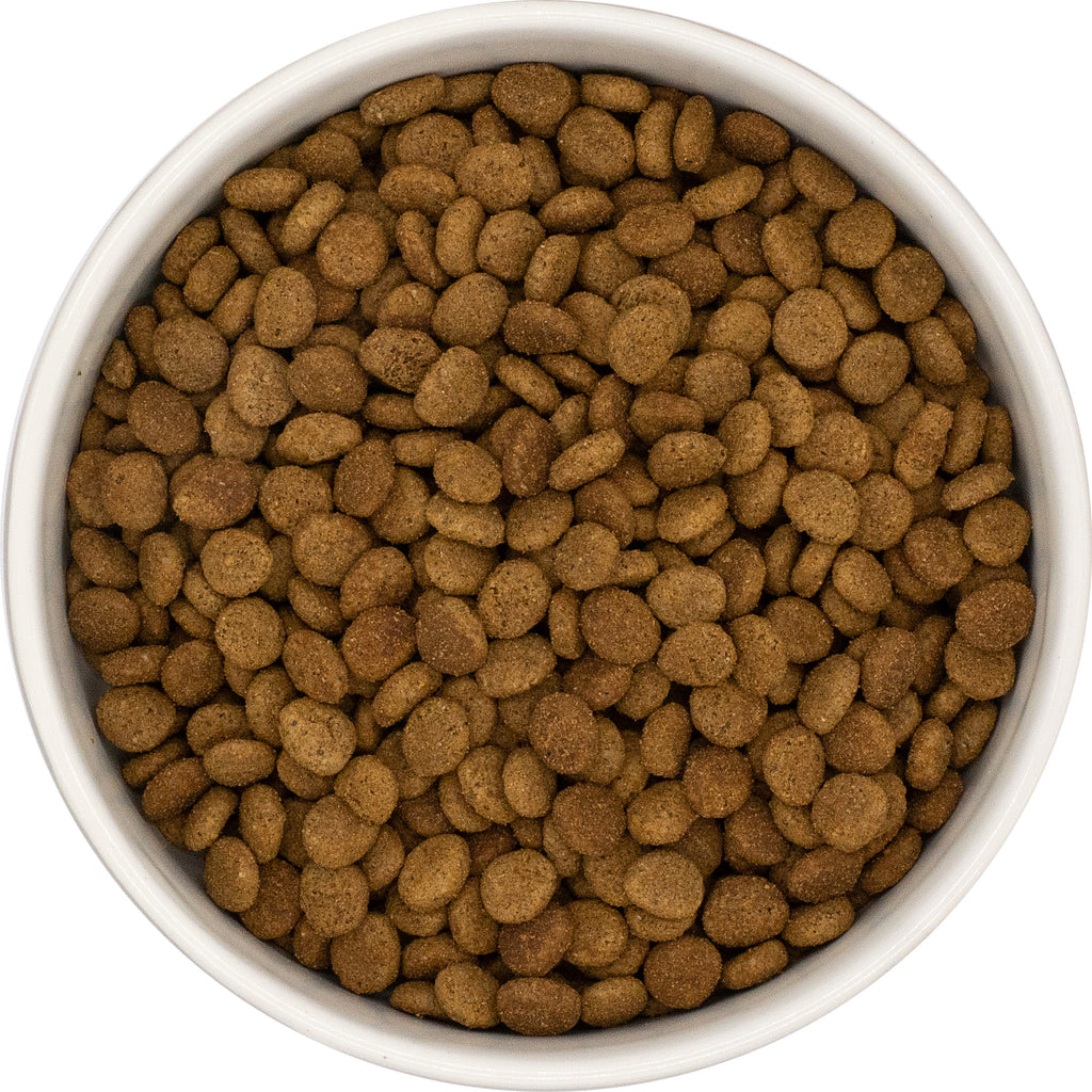 Grain Free Fresh Chicken, Tuna & Salmon cat food Samples available