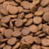 Grain Free Chicken, Sweet Potato and Herb Adult Dog Food Kibble Image - HarrierProPetFoods.co.uk