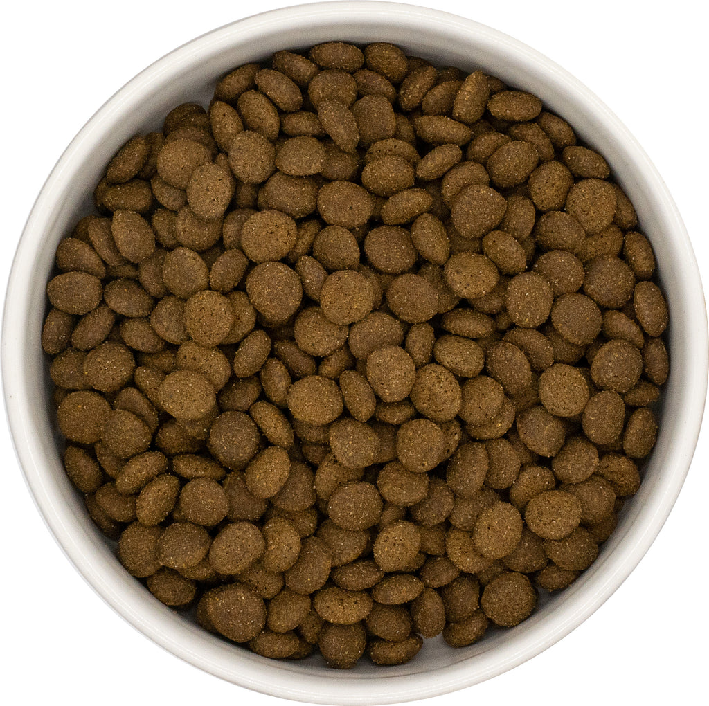 Grain Free Fresh Salmon & White Fish cat food FREE Samples Harrier Pro Pet Foods.co.uk