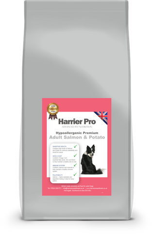 Hypoallergenic Salmon and Potato Adult Dog Food - HarrierProPetFoods.co.uk