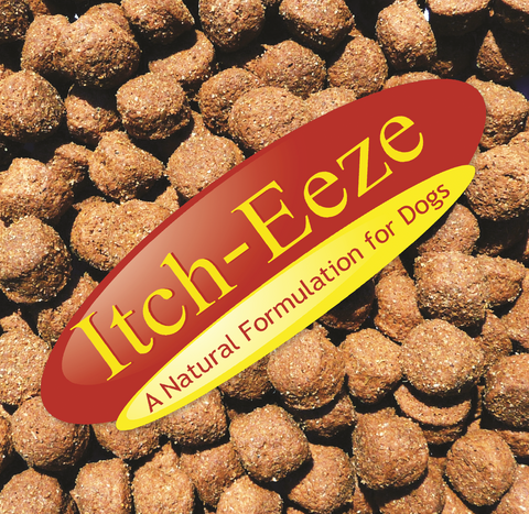Fish for dogs kibble hot sale