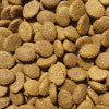 Dry Hypoallergenic Salmon and Potato Large Breed Puppy Food - Harrier Pro Pet Foods.co.uk