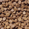 Dry Hypoallergenic Salmon Cat Food - Harrier Pro Pet Foods.co.uk
