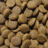 Dry Hypoallergenic Chicken and Rice Large Breed Adult Dog Food - Harrier Pro Pet Foods.co.uk